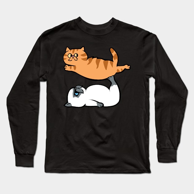 Exotic Shorthair Acroyoga Long Sleeve T-Shirt by huebucket